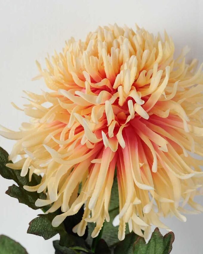 13*80CM single  chrysanthemum GS-0550295
