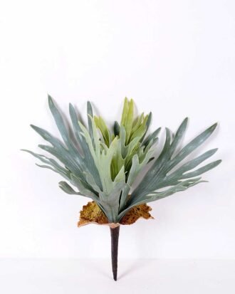 15*16CM GRASS GS-0600194-G1