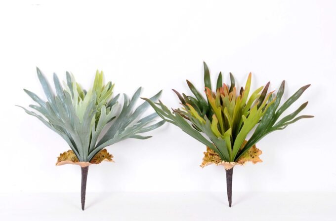 15*16CM GRASS GS-0600194-G1