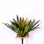 15*16CM GRASS GS-0600194-G2