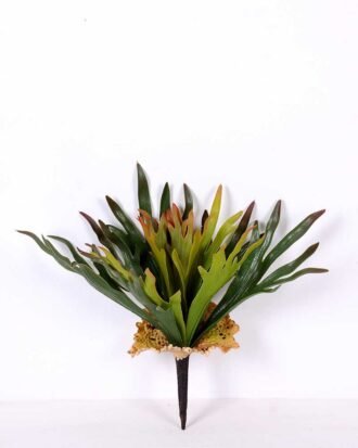 15*16CM GRASS GS-0600194-G2