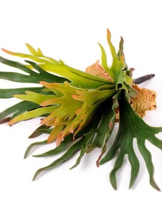 15*16CM GRASS GS-0600194-G2