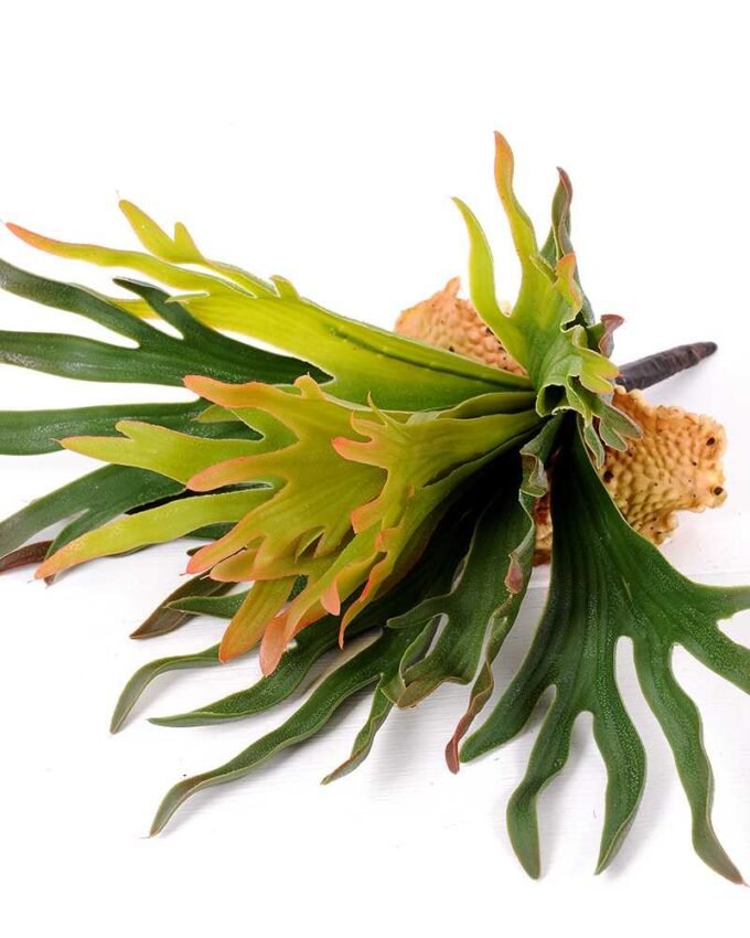 15*16CM GRASS GS-0600194-G2 2 15*16CM GRASS GS-0600194-G2