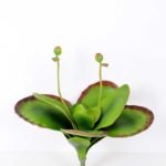 44*38CM LEAVES GS-0600195