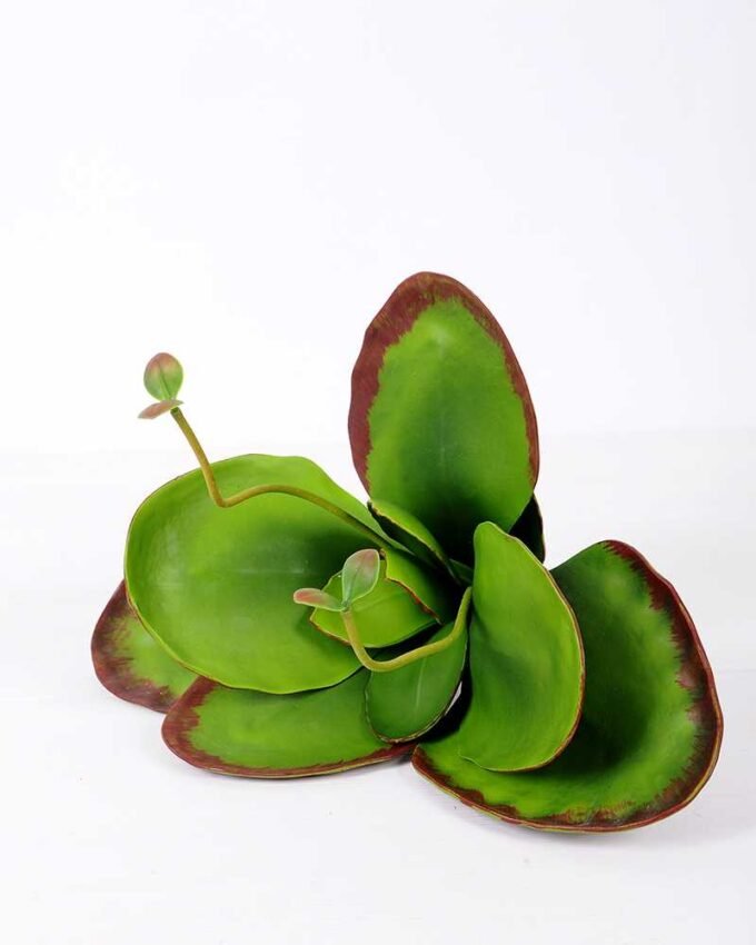 44*38CM LEAVES GS-0600195