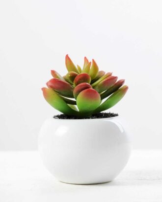 9cm Cactus GS-0680105D Succulent YeahFlower is one of Chinese leading OEM manufacturers and exporters , supplying the silk flowers, wholesale artificial trees 9cm Cactus GS-0680105D