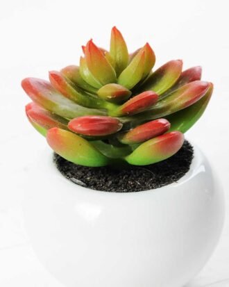 9cm Cactus GS-0680105D Succulent YeahFlower is one of Chinese leading OEM manufacturers and exporters , supplying the silk flowers, wholesale artificial trees 9cm Cactus GS-0680105D