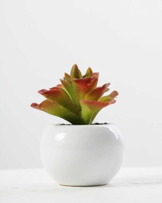 9cm Cactus GS-0680105B Succulent YeahFlower is one of Chinese leading OEM manufacturers and exporters , supplying the silk flowers, wholesale artificial trees 9cm Cactus GS-0680105B