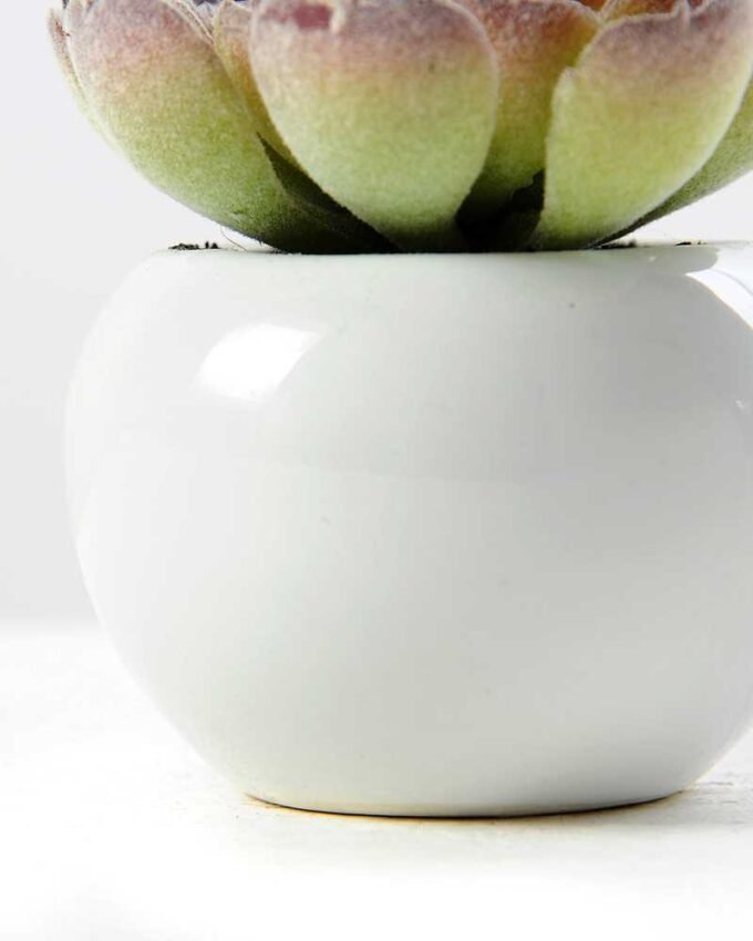 7cm Cactus GS-0680105C