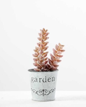 14cm Cactus GS-0680108 Succulent YeahFlower is one of Chinese leading OEM manufacturers and exporters , supplying the silk flowers, wholesale artificial trees 14cm Cactus GS-0680108