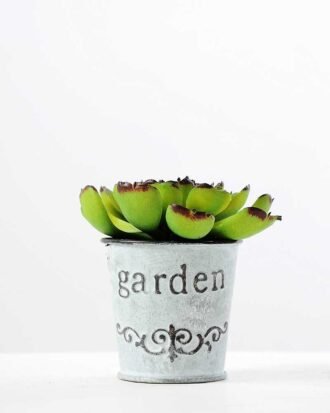 9cm Cactus GS-0680109 Succulent YeahFlower is one of Chinese leading OEM manufacturers and exporters , supplying the silk flowers, wholesale artificial trees 9cm Cactus GS-0680109