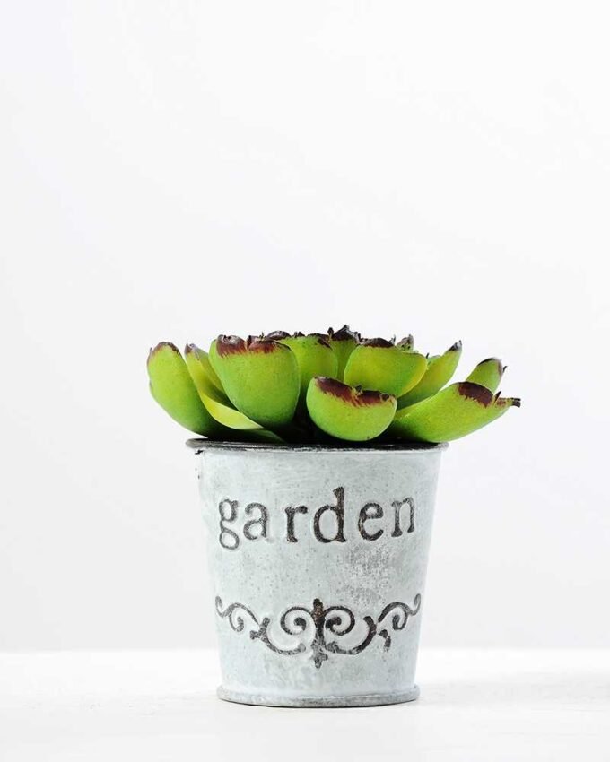 9cm Cactus GS-0680109