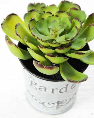 9cm Cactus GS-0680109 Succulent YeahFlower is one of Chinese leading OEM manufacturers and exporters , supplying the silk flowers, wholesale artificial trees 9cm Cactus GS-0680109