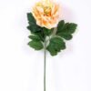20*60cm Single peony GS-0690402-C1