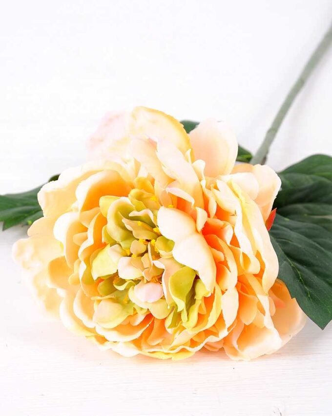 20*60cm Single peony GS-0690402-C1