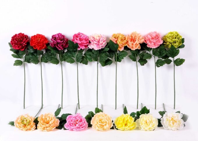 20*60cm Single peony GS-0690402-C1