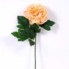 20*60cm Single peony GS-0690402-C2