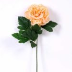 20*60cm Single peony GS-0690402-C2