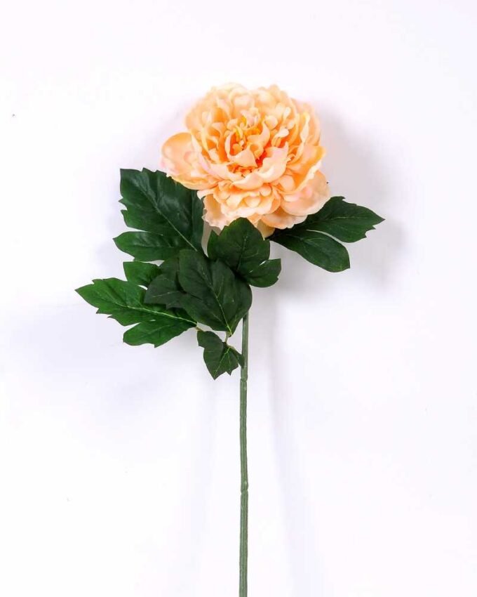 20*60cm Single peony GS-0690402-C2