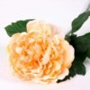 20*60cm Single peony GS-0690402-C2