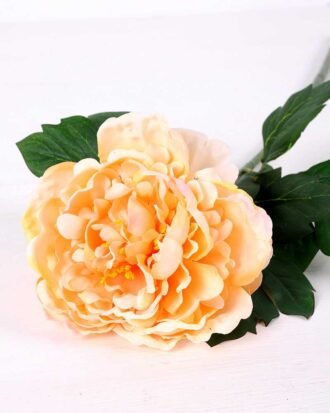 20*60cm Single peony GS-0690402-C2
