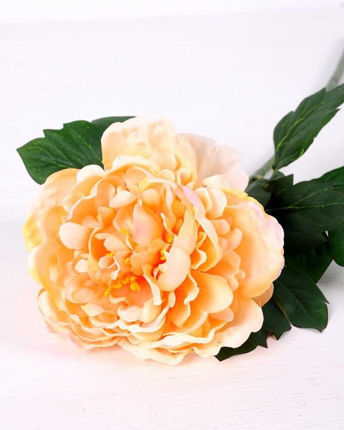 20*60cm Single peony GS-0690402-C2