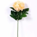 20*60cm Single peony GS-0690402-C3