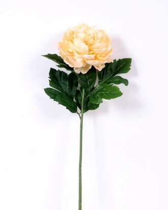 20*60cm Single peony GS-0690402-C3