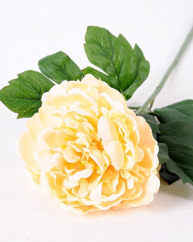 20*60cm Single peony GS-0690402-C3 2 20*60cm Single peony GS-0690402-C3