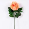 20*60cm Single peony GS-0690402-C4