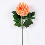 20*60cm Single peony GS-0690402-C4
