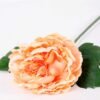 20*60cm Single peony GS-0690402-C4
