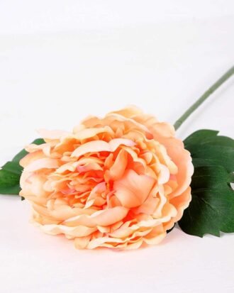 20*60cm Single peony GS-0690402-C4