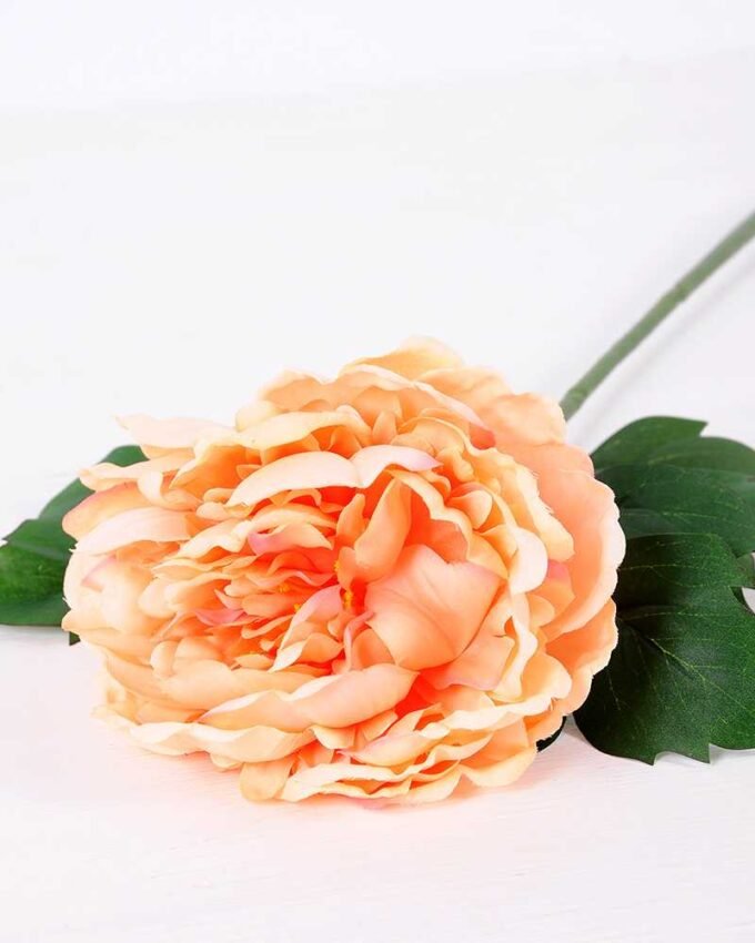 20*60cm Single peony GS-0690402-C4