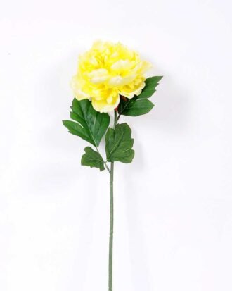 20*60cm Single peony GS-0690402-G1
