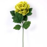 20*60cm Single peony GS-0690402-G2