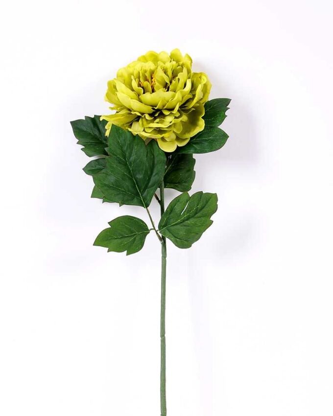 20*60cm Single peony GS-0690402-G2