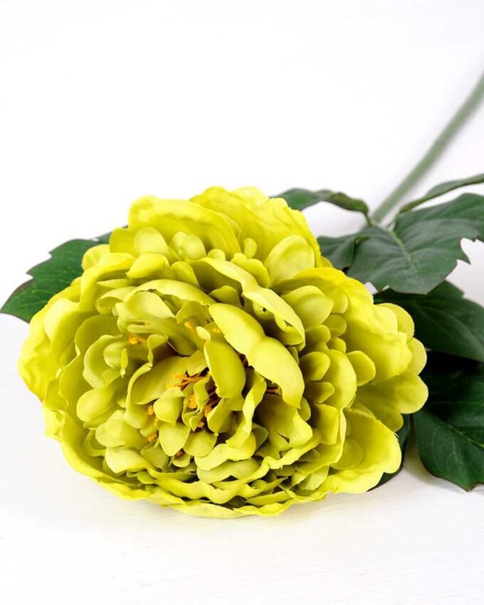 20*60cm Single peony GS-0690402-G2