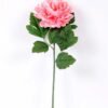 20*60cm Single peony GS-0690402-P1