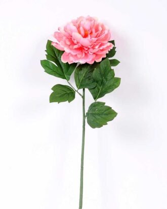 20*60cm Single peony GS-0690402-P1