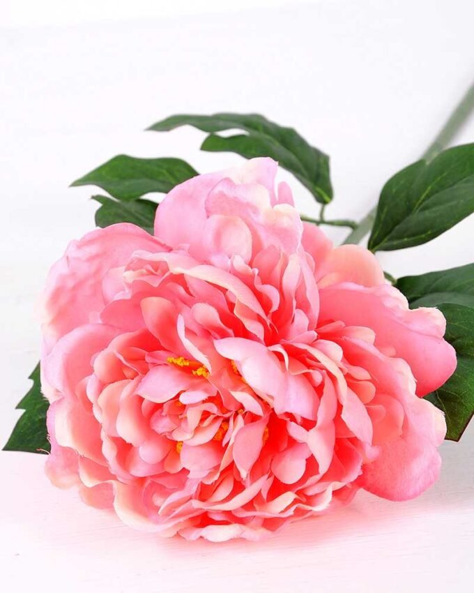 20*60cm Single peony GS-0690402-P1