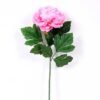 20*60cm Single peony GS-0690402-P2
