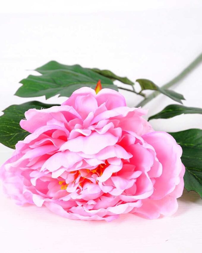20*60cm Single peony GS-0690402-P2