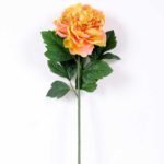 20*60cm Single peony GS-0690402-P4