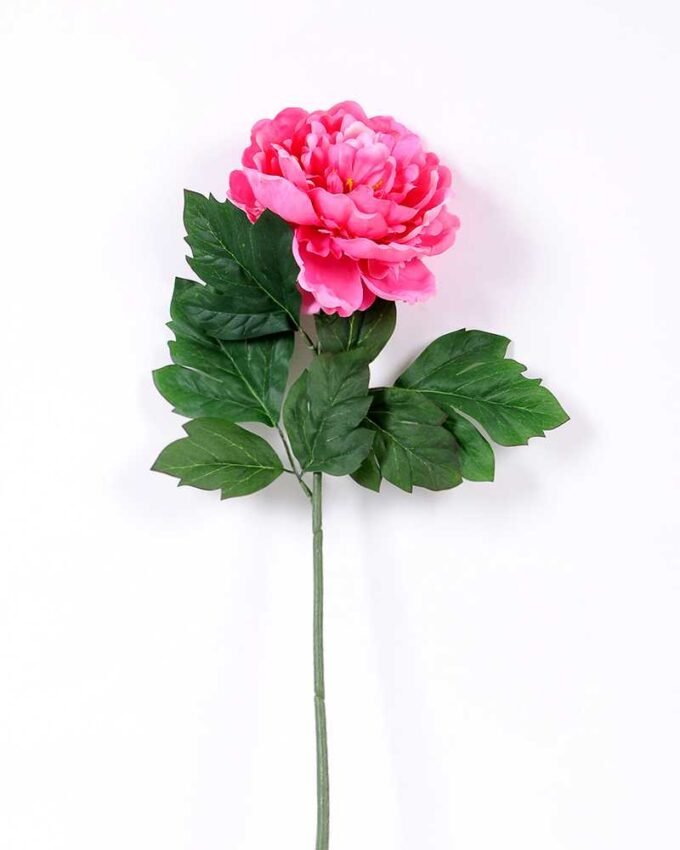 20*60cm Single peony GS-0690402-R1
