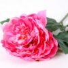 20*60cm Single peony GS-0690402-R1
