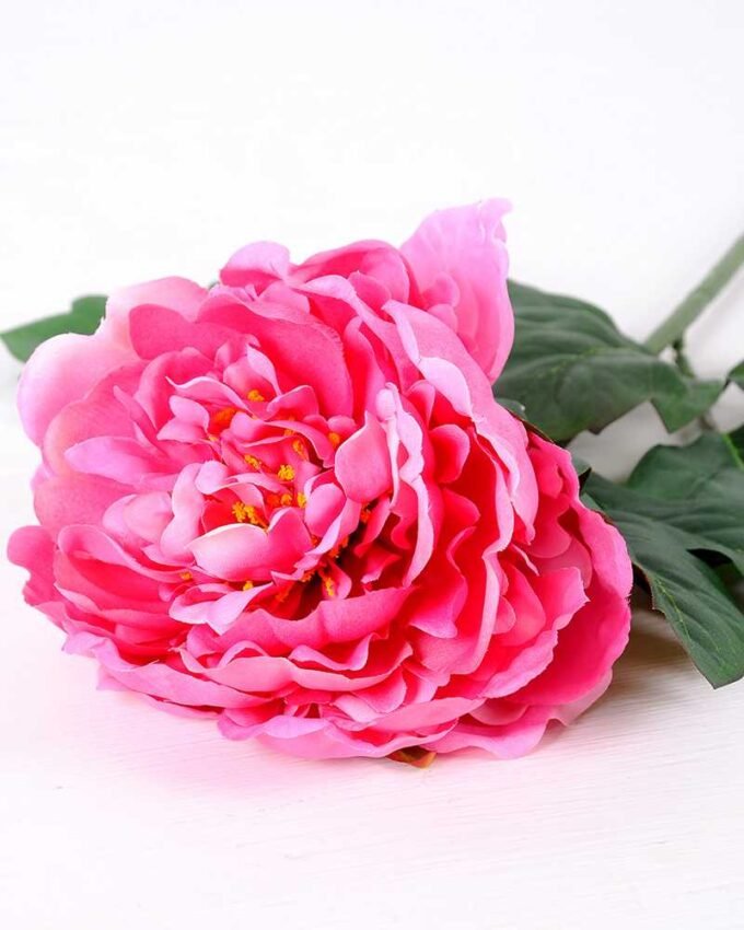 20*60cm Single peony GS-0690402-R1