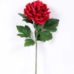 20*60cm Single peony GS-0690402-R2
