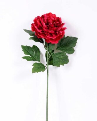 20*60cm Single peony GS-0690402-R2