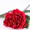 20*60cm Single peony GS-0690402-R2 2 20*60cm Single peony GS-0690402-R2